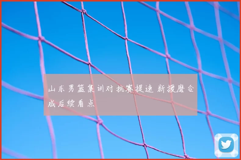 山东男篮集训对抗赛提速 新援磨合成后续看点
