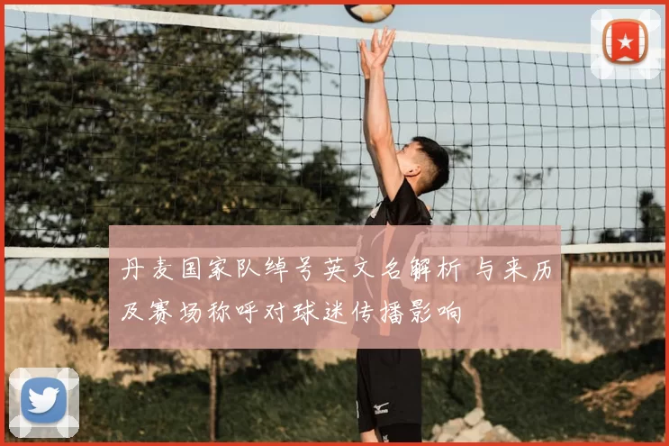 丹麦国家队绰号英文名解析 与来历及赛场称呼对球迷传播影响