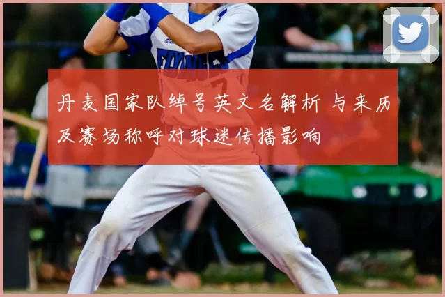 丹麦国家队绰号英文名解析 与来历及赛场称呼对球迷传播影响