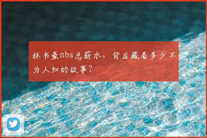 林书豪nba总薪水,背后藏着多少不为人知的故事?