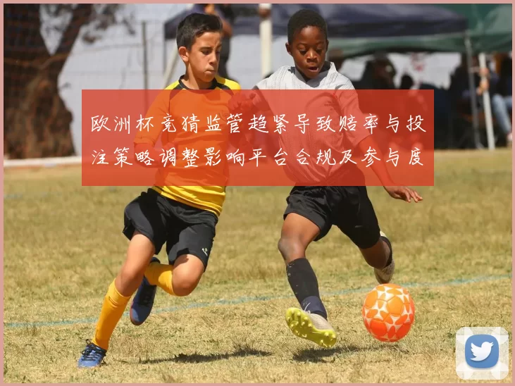 欧洲杯竞猜监管趋紧导致赔率与投注策略调整影响平台合规及参与度