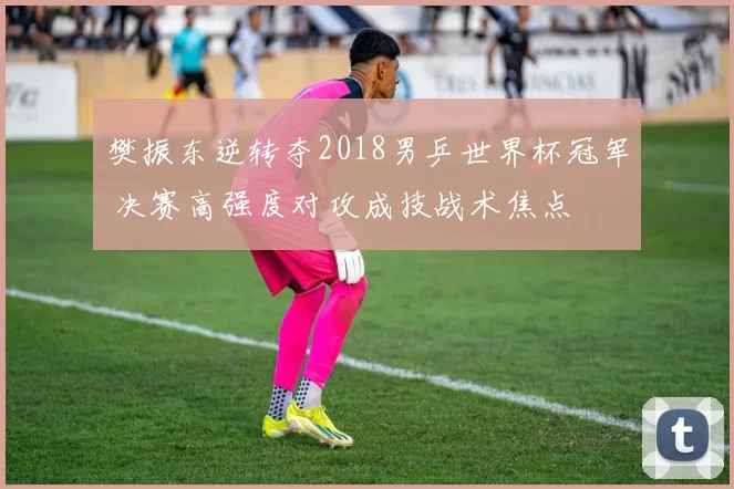 樊振东逆转夺2018男乒世界杯冠军 决赛高强度对攻成技战术焦点