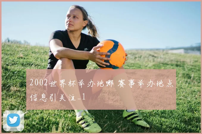 2002世界杯举办地哪 赛事举办地点信息引关注_1