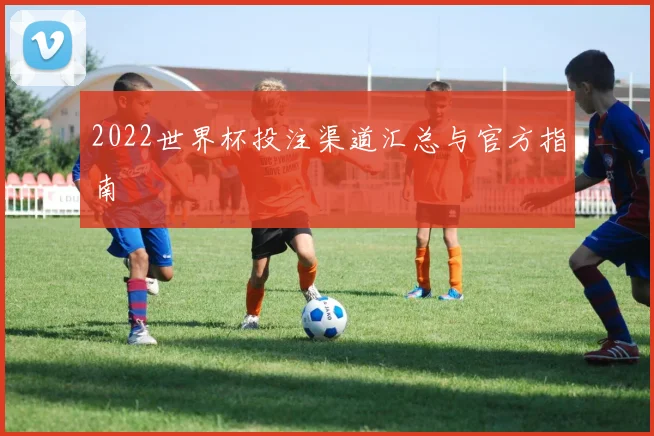 2022世界杯投注渠道汇总与官方指南