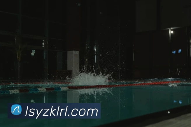 mk体育官方网站登录服务体系